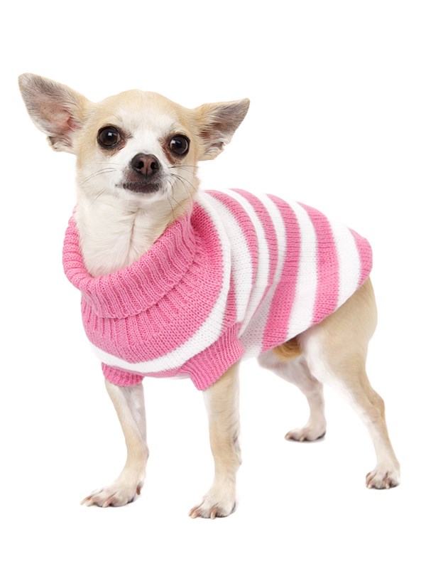 Pink Candy Stripe - Stickad Hundtröja